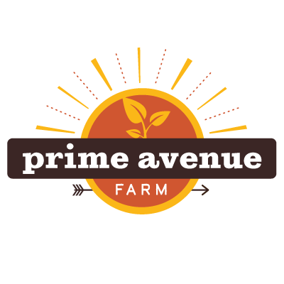 prime-avenue-400px-forsquare